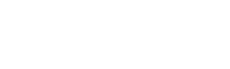 DMI-Logo